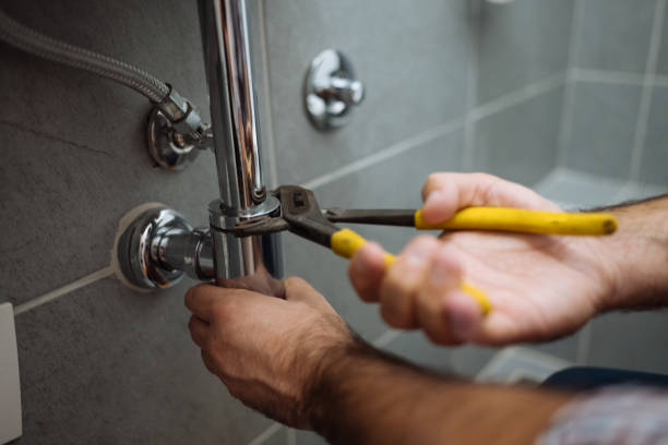 Best Plumbing Inspection Services  in Fris, CO