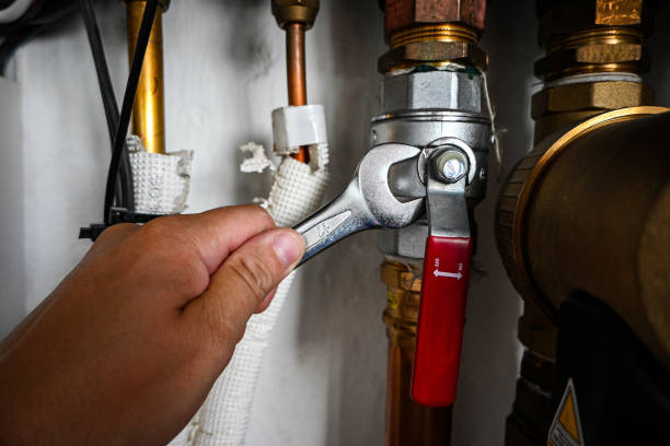 Best Local Plumber Services  in Fris, CO